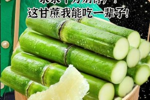 泰迪狗能吃甘蔗吗？（泰迪狗适量食用甘蔗的注意事项）