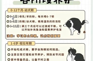 养边境牧羊犬的禁忌（以养边牧的禁忌及注意事项）