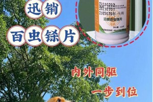 预防猫虫，这些药物最有效（选择正确的药物来保护您的猫咪免受虫害侵袭）