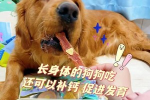 狗狗的补钙食品选择指南（为宠物狗提供健康强壮的骨骼发育）
