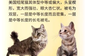 猫的尾巴（探索猫咪尾巴的多重意义与特征）