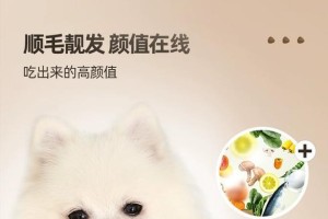 如何选择适合博美犬的狗粮？（让你的博美犬获得均衡的营养）