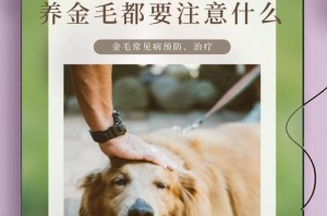 如何正确给金毛洗澡（洗澡时间、注意事项及常见问题解答）