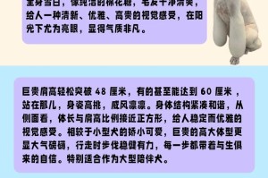 养贵宾犬的“5大伤害”你必须了解（宠物贵宾犬的魅力与挑战，主人们必看）