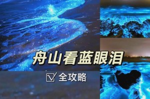 了解陆龟寄生虫，确保宠物健康（揭秘陆龟寄生虫的种类、症状和防治方法）