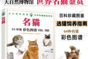宠物小猫名字大全，让你的猫咪更加特别！（15个独特可爱的猫咪名字推荐，让你的宠物成为焦点）