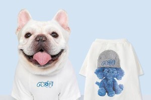 寻找适合狗狗的白色衣服品牌（选择合适的白色衣服让狗狗更时尚可爱）