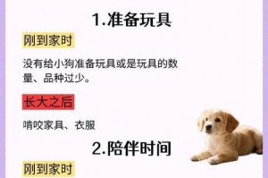 狗狗为何喜欢吃纸巾？（探索狗狗吃纸巾的原因和解决方法）
