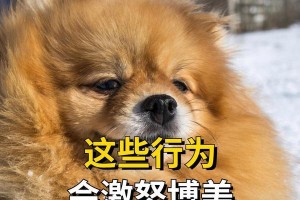 狗狗翻肠子的原因及应对方法（探究狗狗翻肠子的原因，了解如何应对这一行为）