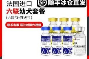 进口狗狗疫苗的重要性（保护你的爱犬免受致命疾病侵袭）