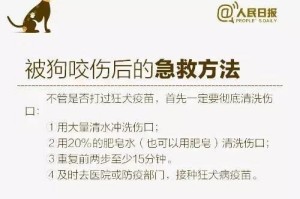 犬疫苗注射规定及注意事项（探究犬疫苗注射频率和流程，为您的爱犬提供全方位的保护）