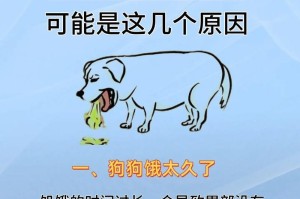 狗狗呕吐的原因解析（探究导致狗狗呕吐的原因及应对措施）