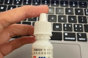 预防和护理猫咪眼部疾病的有效方法（预防猫咪眼部疾病的关键措施及诊治与护理要点）