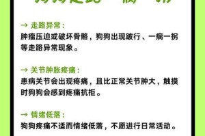 狗狗后腿瘸了的原因及治疗费用解析（探究导致狗狗后腿瘸的各种因素以及治疗所需费用）