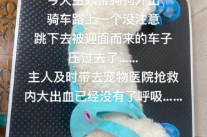 长途汽车旅行需要注意的事项——带比熊的必备指南（关爱你的比熊宝贝，让旅行更安心）