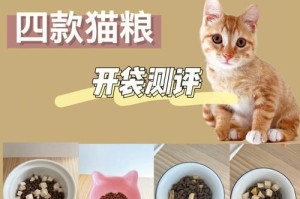 如何正确喂养刚出生的小猫（掌握喂养诀窍，为宝宝猫提供良好的成长环境）