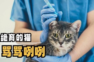 猫咪生完孩子后何时进行绝育？（了解绝育的最佳时间，关注母猫和幼崽的健康）