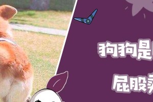 免费领取狗狗的原因及好处（为什么有人愿意将狗狗免费送出？）