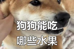 小心！喂食蛋黄可能危及狗狗生命！（了解真相，保护你家爱犬的健康与安全）
