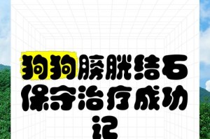 狗狗膀胱结石（探究狗狗膀胱结石的治愈时间和关键因素）