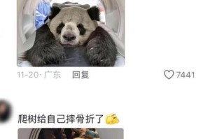 动物治病的疗法大全（探索动物在医疗领域中的奇妙应用）