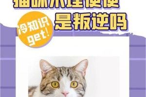 以猫拉不出来屎吃什么药？（探索解决猫便秘的有效药物及治疗方法）