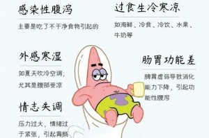 如何处理狗狗腹泻问题（自家急救措施，让你的宠物快速康复）