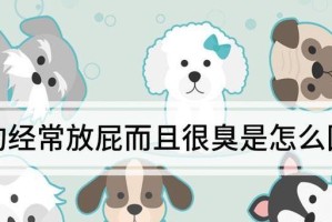 狗狗频繁放屁的原因及改善方法（为什么狗狗频繁放屁？如何改善狗狗的胃肠问题？）