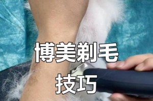 博美犬剪毛后多久才能长出新毛？（探寻博美犬毛发生长周期及影响因素）