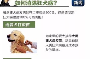 狗狗三次疫苗保护你的宠物健康（了解狗狗三次疫苗的重要性及其防护效果）