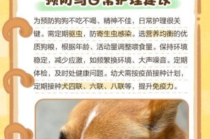 探究狗狗食欲不振的原因（为何狗狗不吃饭？如何对症下药？）