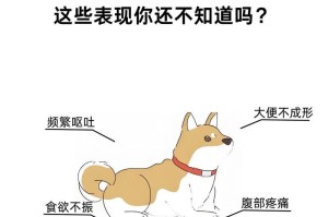 小狗肠炎（探索小狗肠炎的常见症状、预防与治疗方法）