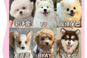 为什么大狗洗澡贵？（揭开大狗洗澡费用高昂的原因）