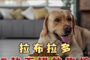 拉布拉多狗粮排名前十名品牌（如何选择适合你的拉布拉多的狗粮）
