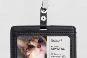 猫咪水肿的原因与治疗方法（探索猫咪水肿的根源以及有效的治疗方法）