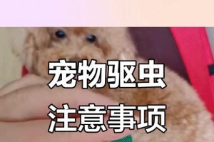 宠物狗体外驱虫后多久可以洗澡？（驱虫后合适的洗澡时间及注意事项）