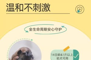 两个月大泰迪的驱虫计划（如何合理安排宝贝狗狗的驱虫时间表）
