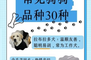 金毛寻回犬——忠诚可爱的宠物伙伴（金毛寻回犬的特点、培养和训练）