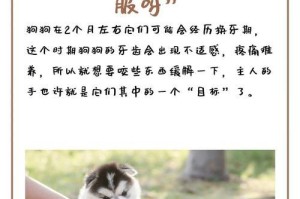 狗狗假咬主人的含义及如何缓解长牙瘙痒（探寻狗狗假咬背后的真实原因，提供有效的缓解方法）