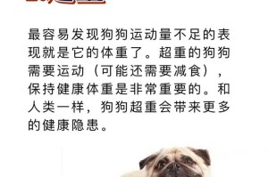 如何确定狗狗每天的合适运动量？（关键指标及注意事项）