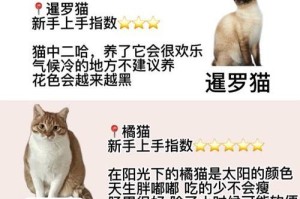 不适合新手饲养的猫咪品种（公认最难养的5种猫及其特点）