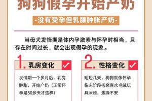 狗狗怀孕多久可以看出来？（了解狗狗妊娠期的迹象和表现）