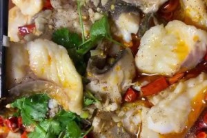 热带鱼为何尾巴朝天？（体虚压不住尾巴的原因及影响）