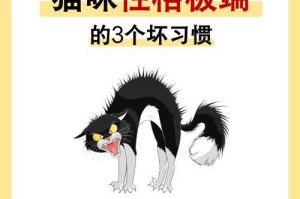 猫的排尿习惯与时间间隔（猫的厕所行为及对主人的重要提醒）