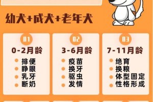 狗狗排便少的原因及调理方法（了解狗狗排便少的原因，帮助它恢复正常排便）