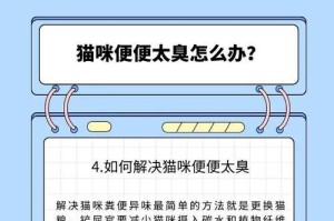 揭秘小猫不拉便便的10个秘密（探究小猫为何不拉便便的原因及解决方法）