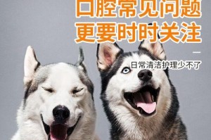 狗狗口腔保健的重要性（多久为狗狗清理一次牙齿？）