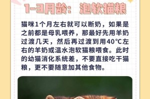 猫咪饮食多样化的重要性（让猫咪多吃什么才是最健康的选择）