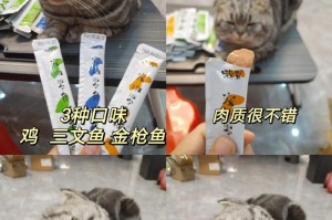 猫咪的饮食喜好揭秘（探索猫咪喜欢吃的美食世界）