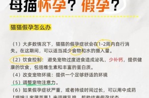 如何判断母猫是否即将分娩？（掌握关键信号，照顾猫咪的健康）